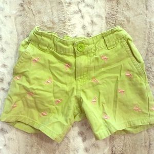Flamingo shorts